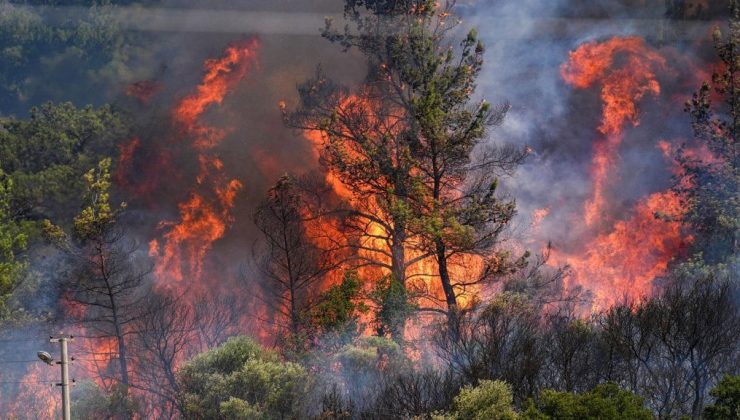 İzmir’deki orman yangınlarına müdahale sürüyor